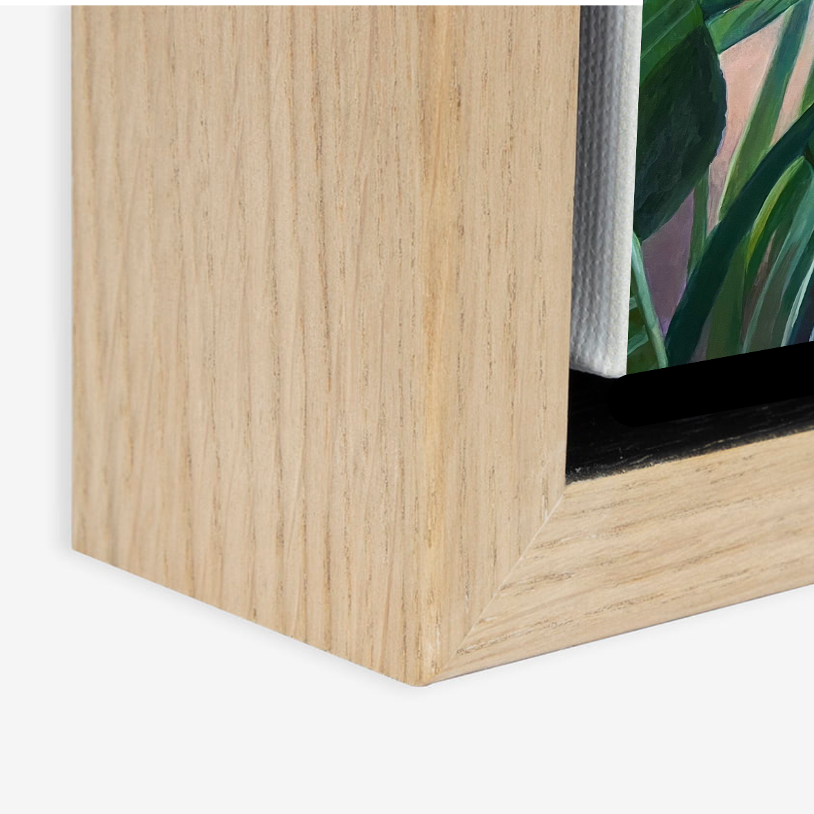 Tresco Birds of Paradise Series 4 Fine Art Canvas Print