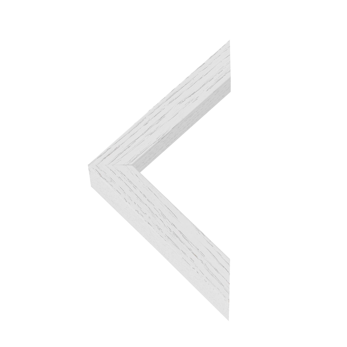 Bird in Bloom – Fine Art Print