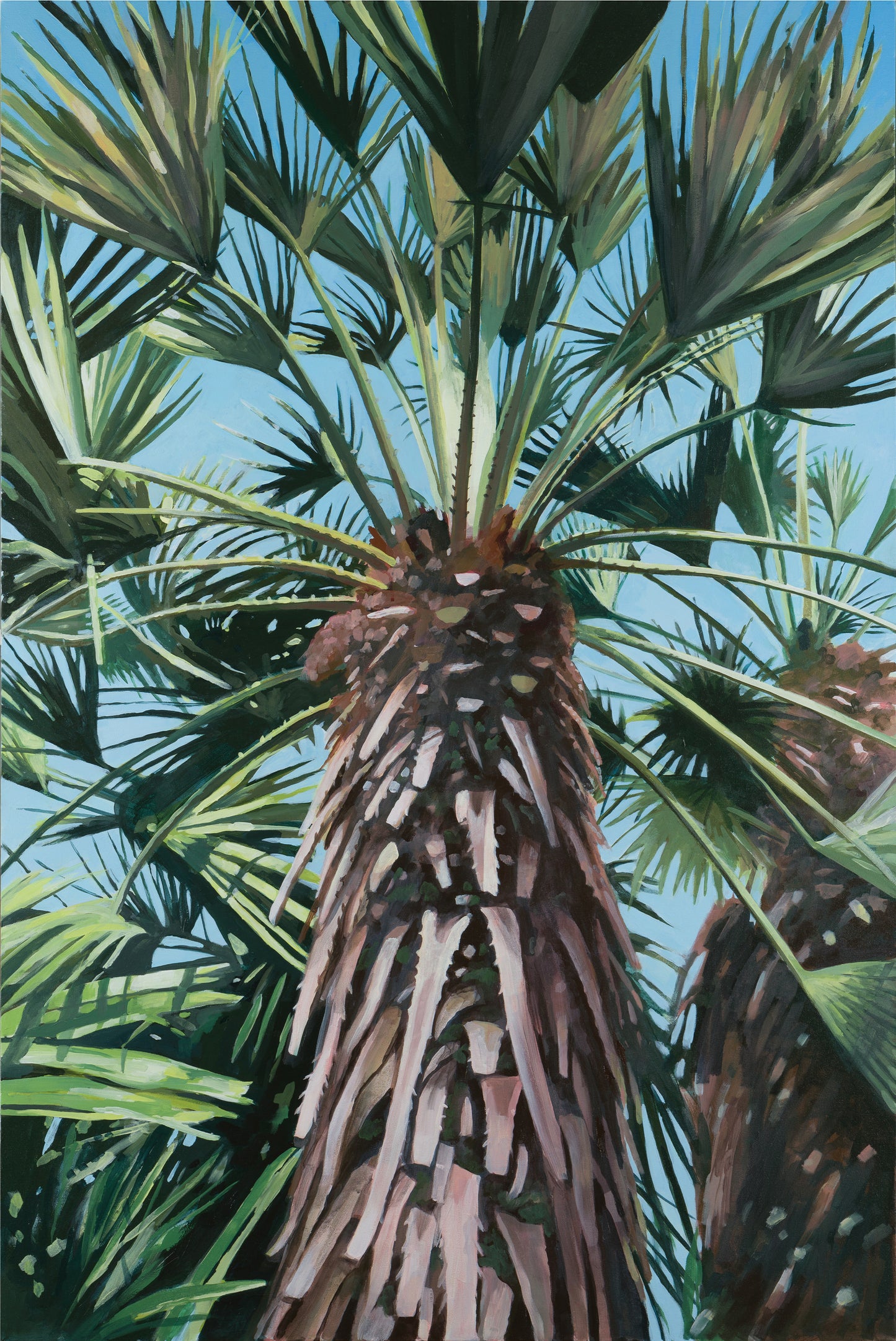 Tropical Tresco Palms Series 3 Fine Art Print