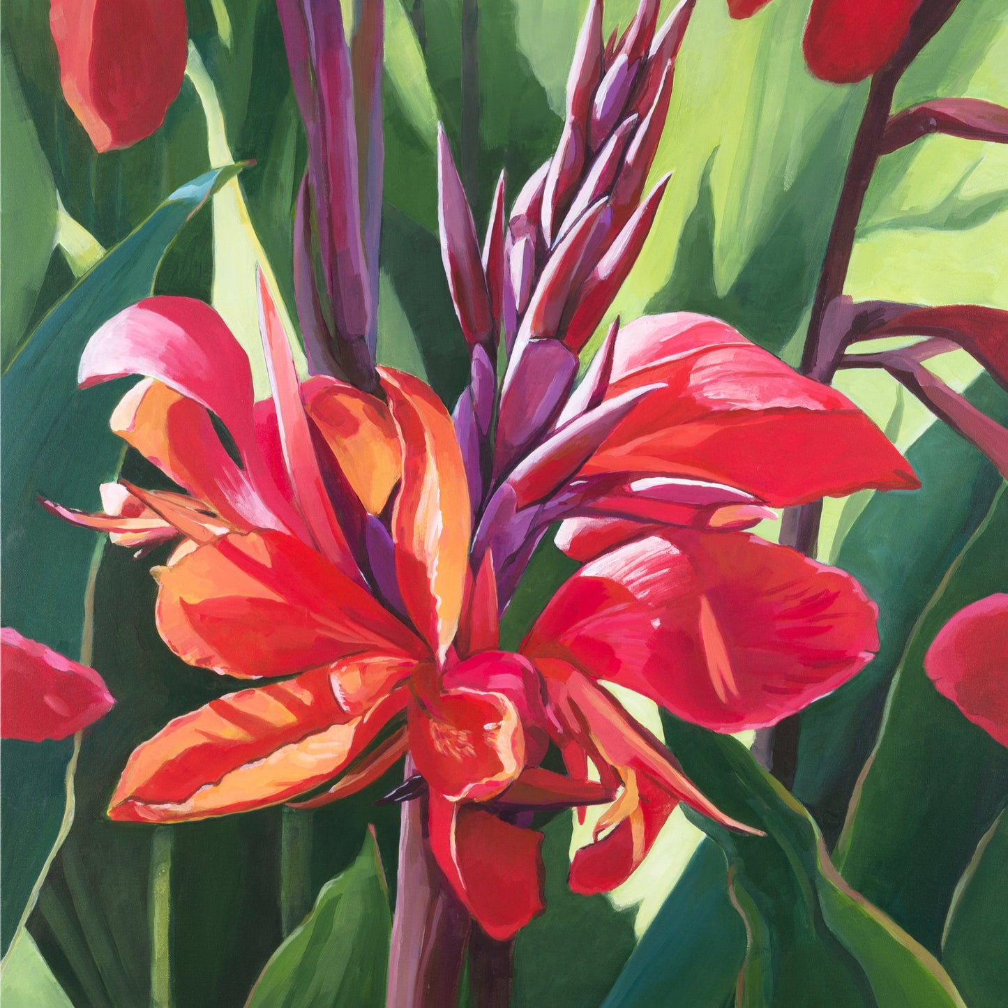 Canna in Bloom – Fine Art Print