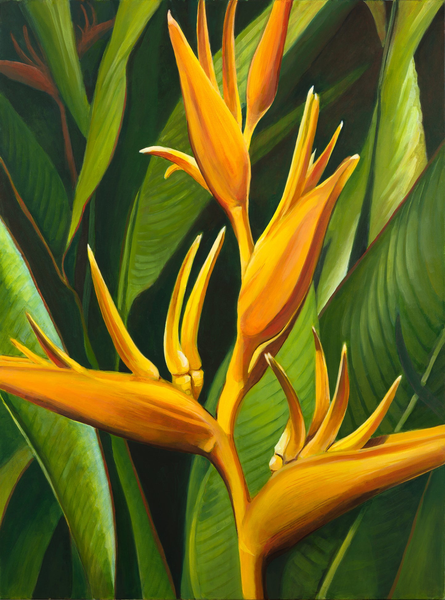 Lobster Claw – Fine Art Print
