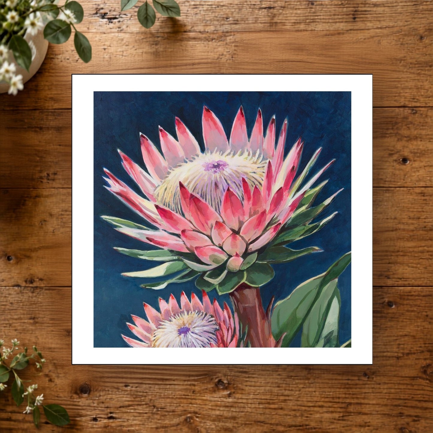 Protea in Pink Mini Print