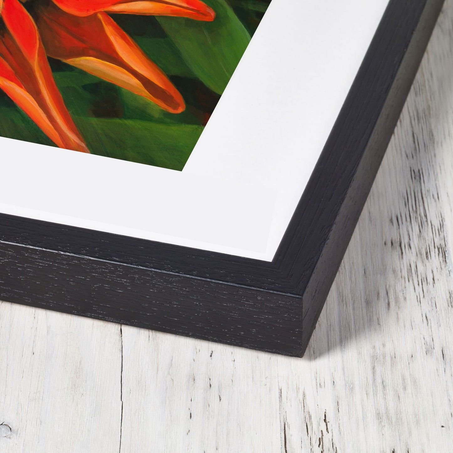 Ganzania – Fine Art Print