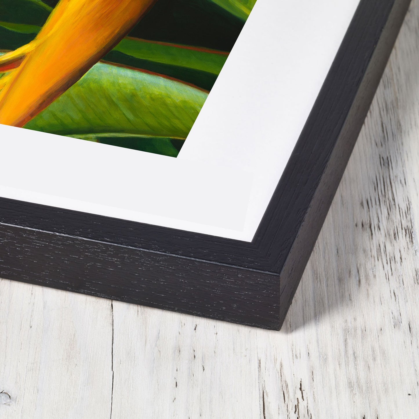 Lobster Claw – Fine Art Print