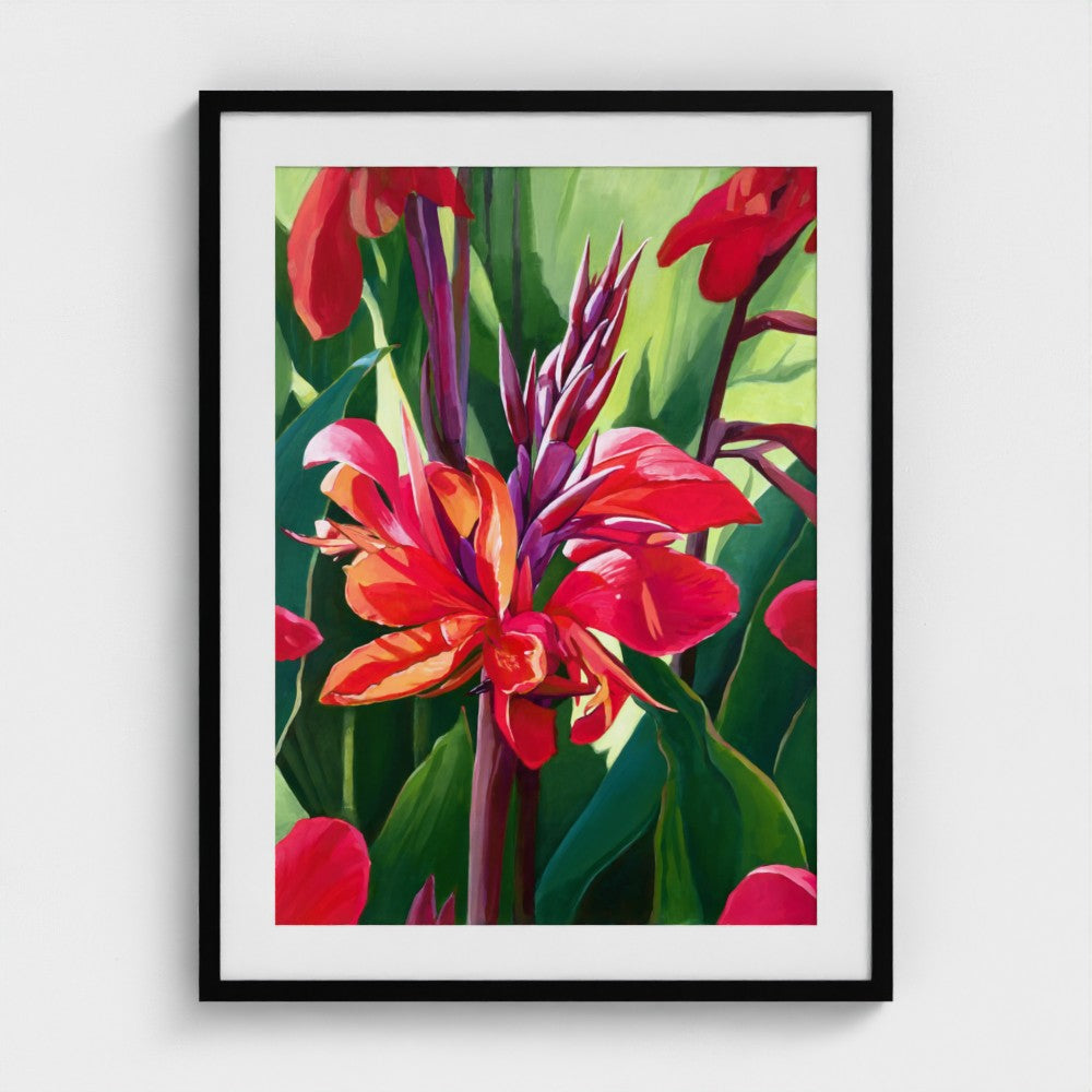 Canna in Bloom – Fine Art Print