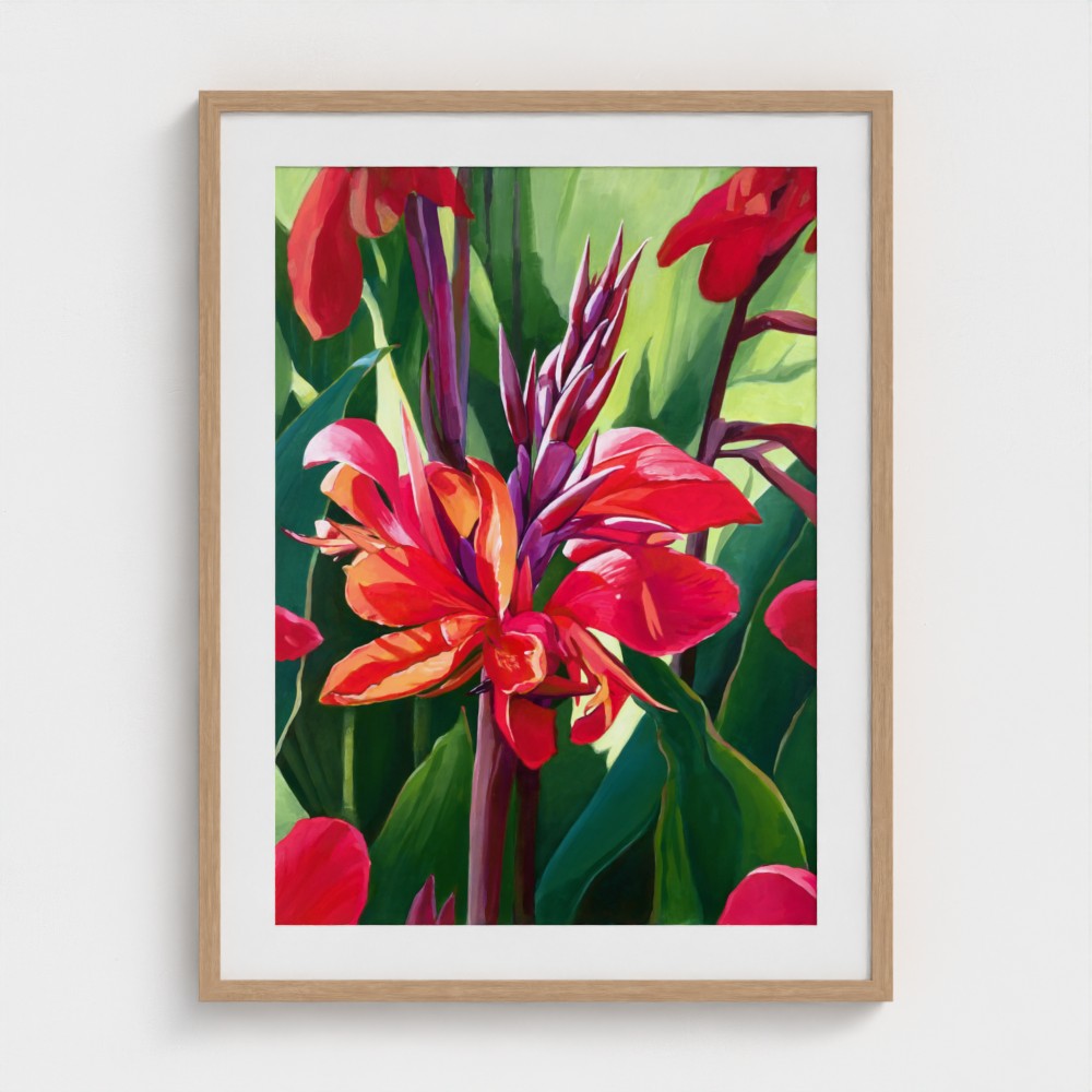 Canna in Bloom – Fine Art Print