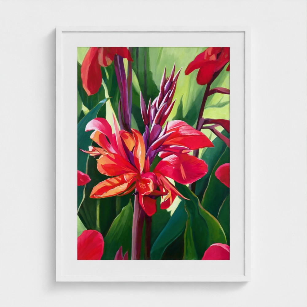 Canna in Bloom – Fine Art Print