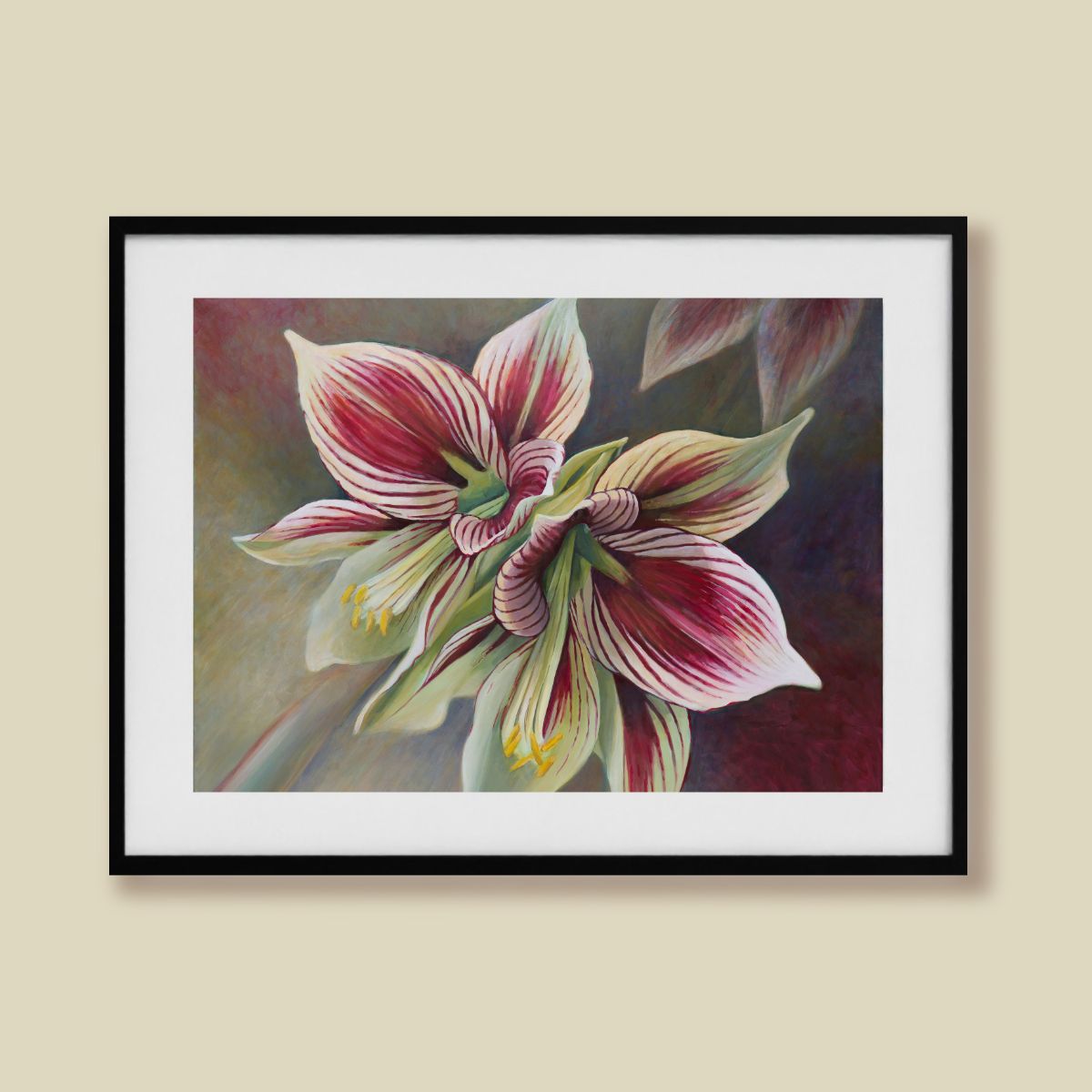 Butterfly Amaryllis – Fine Art Print