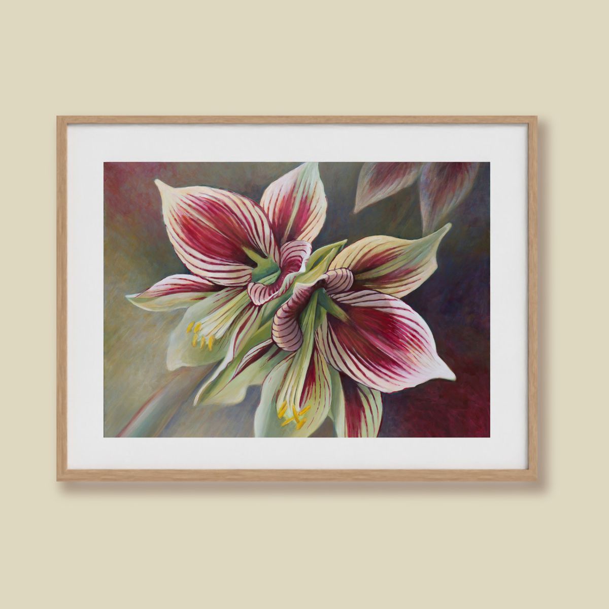 Butterfly Amaryllis – Fine Art Print