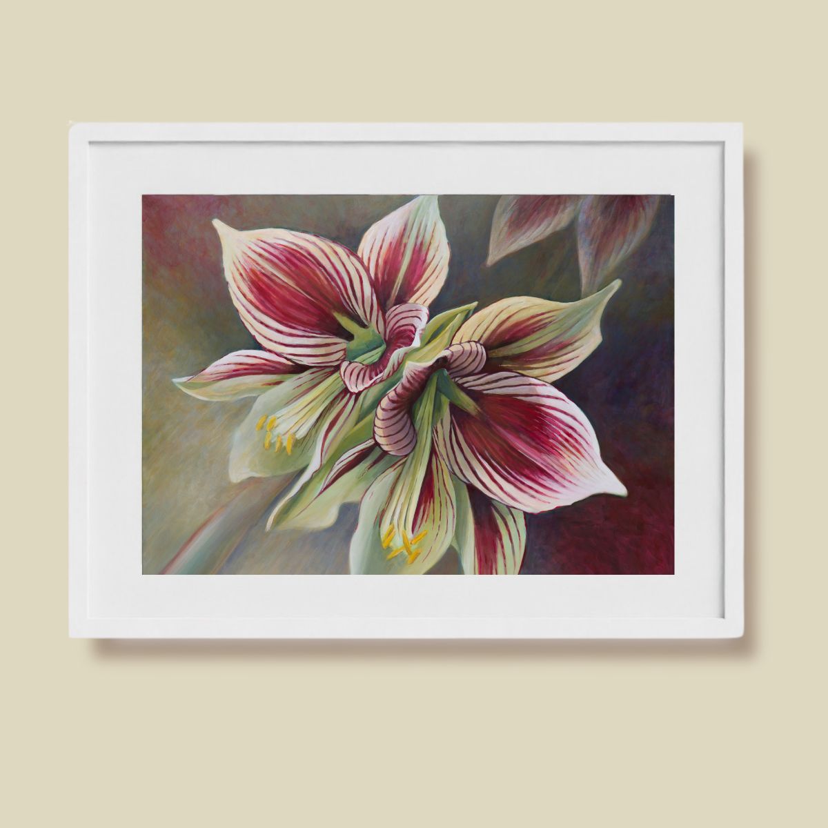 Butterfly Amaryllis – Fine Art Print