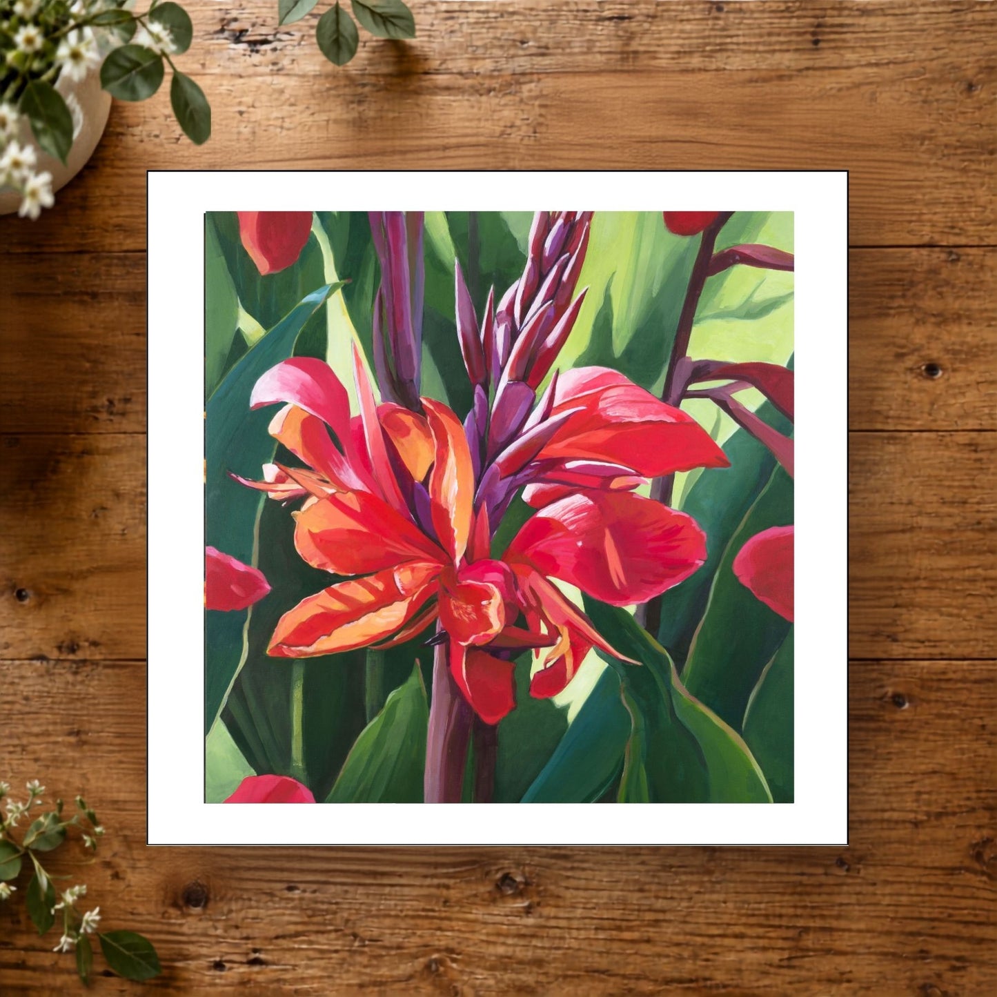 Canna in Bloom Mini Print