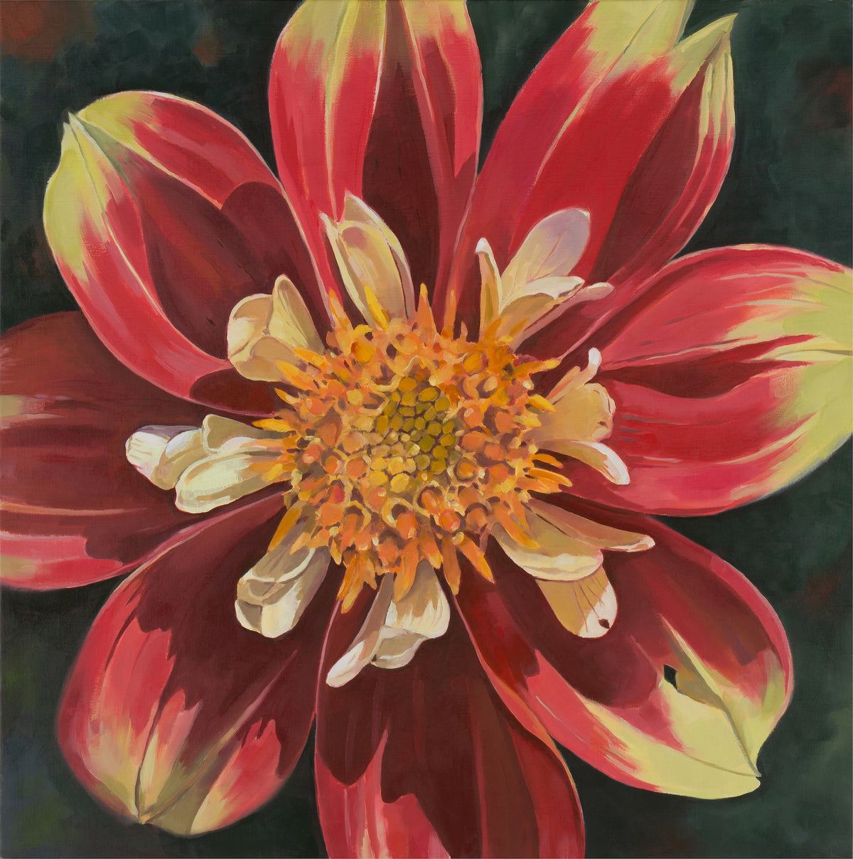 Glorious Dahlia – Fine Art Print