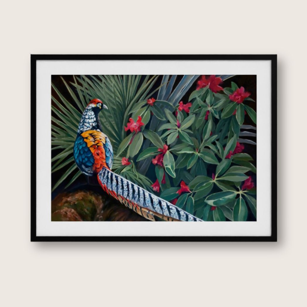 Lady Amherst – Fine Art Print