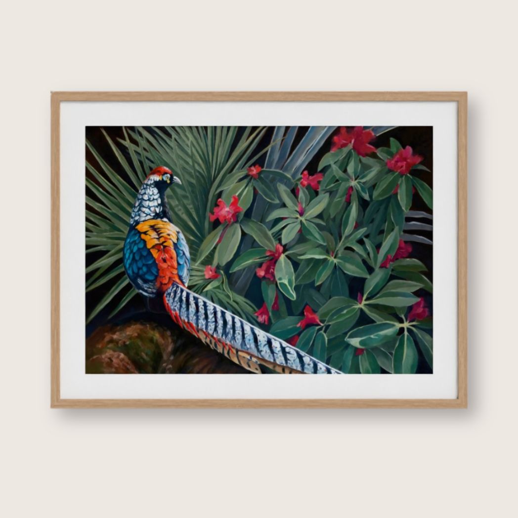 Lady Amherst – Fine Art Print