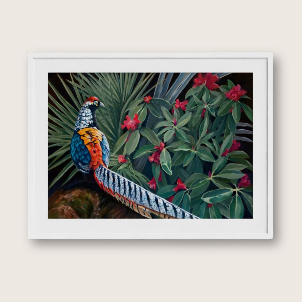 Lady Amherst – Fine Art Print