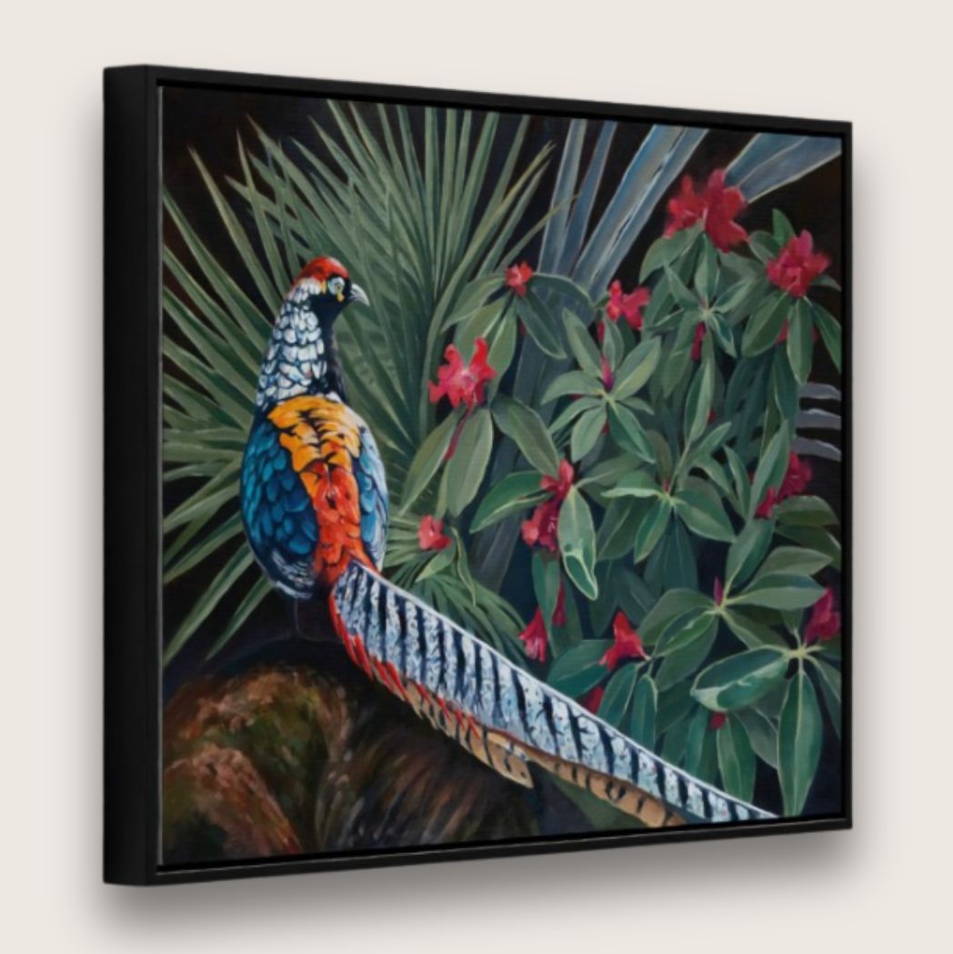 Lady Amherst Canvas Print