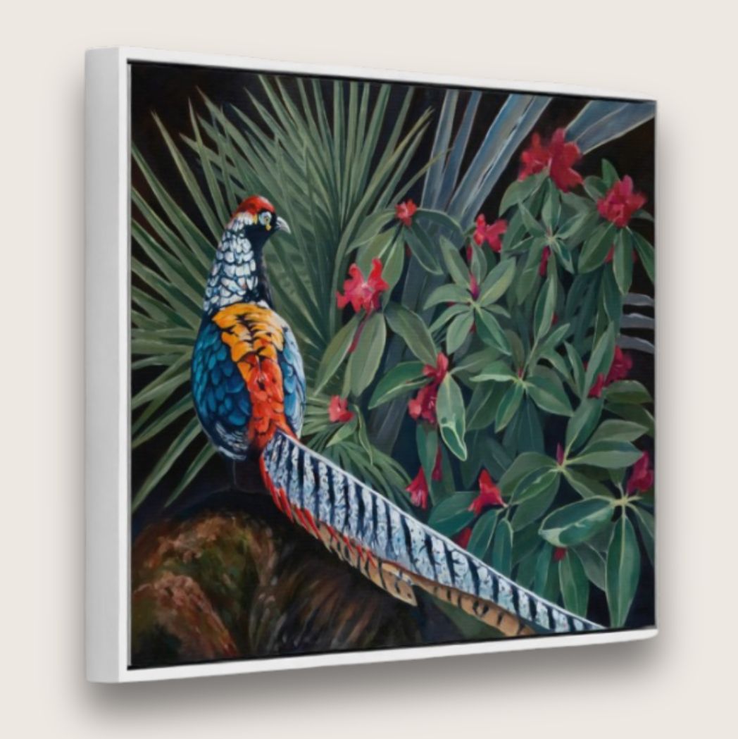 Lady Amherst Canvas Print
