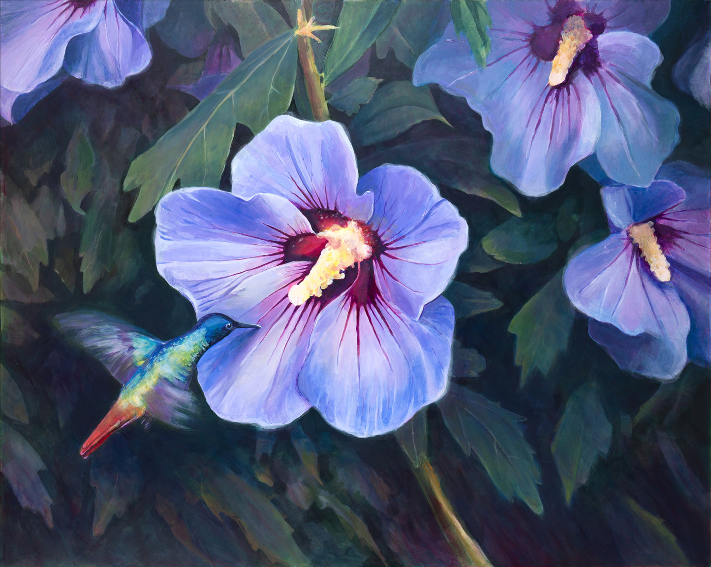 Hummingbird & Hibiscus – Fine Art Print