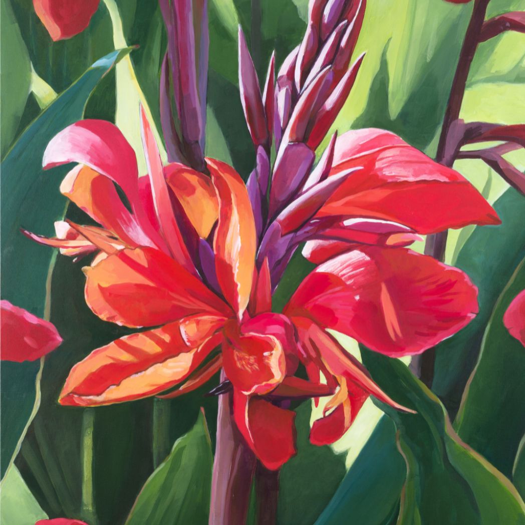 Canna in Bloom Original Painting